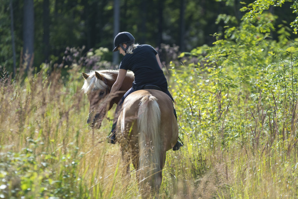 Woman horseback riding