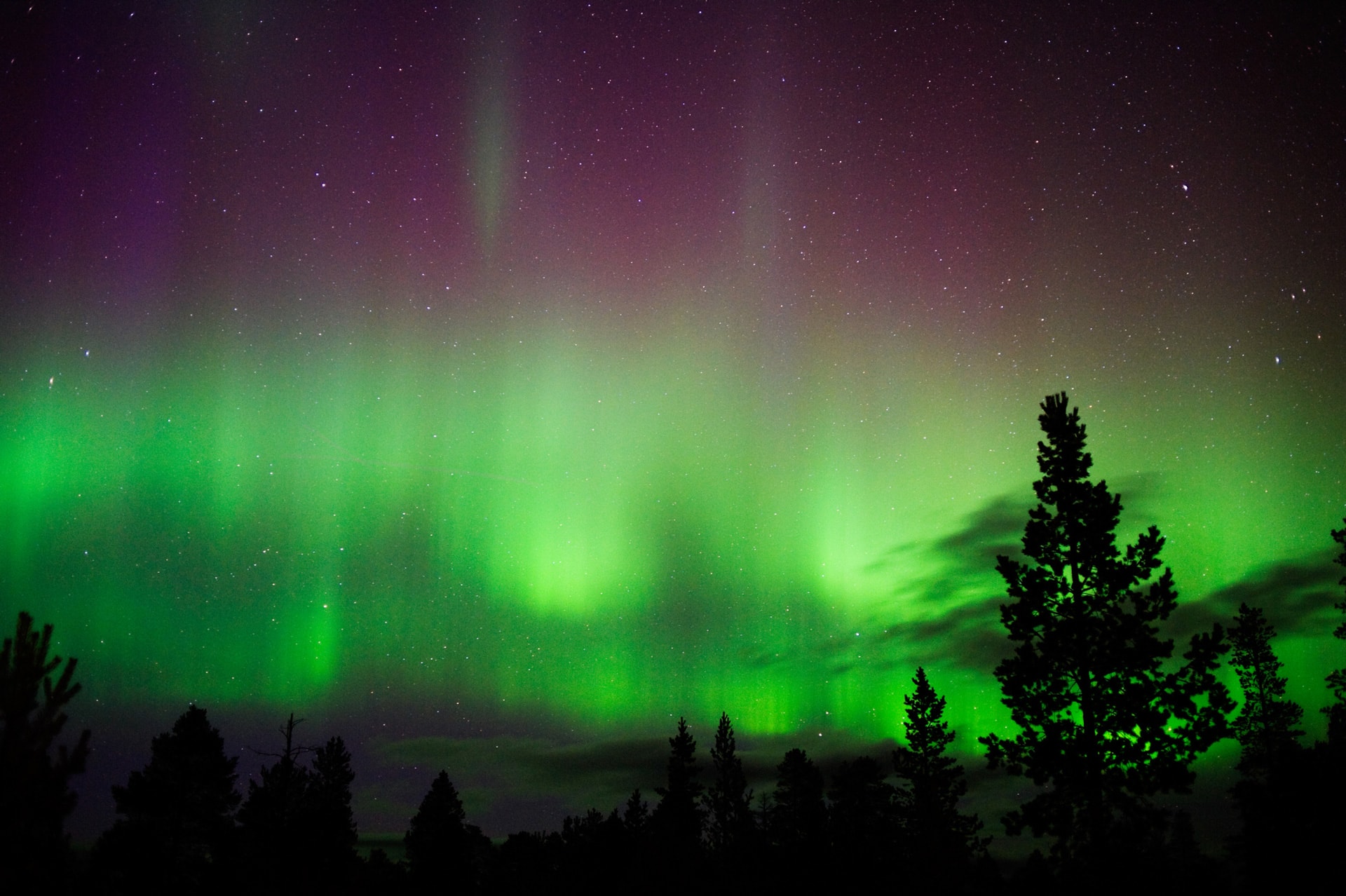 Luxury Christmas experience in Lapland