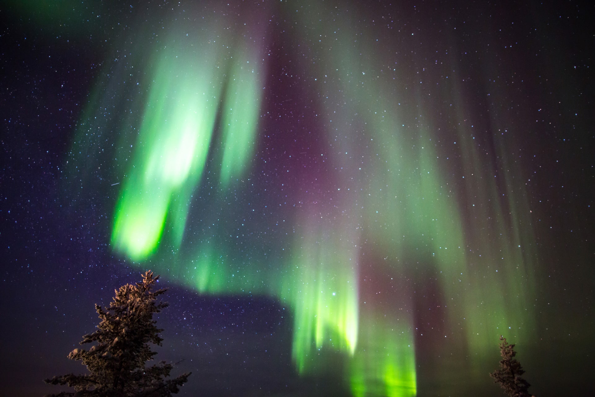 Christmas activities in Lapland beyond Northern Lights watching