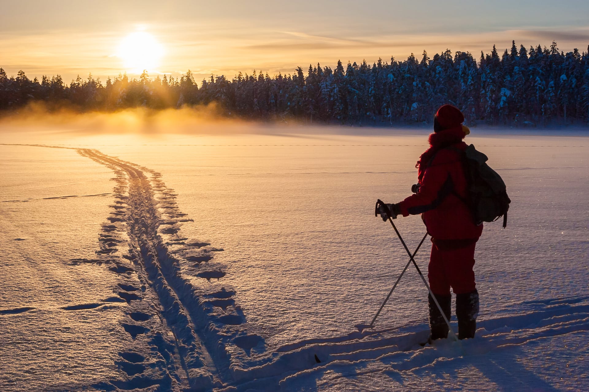 What Lapland activities can you do with under-5s?