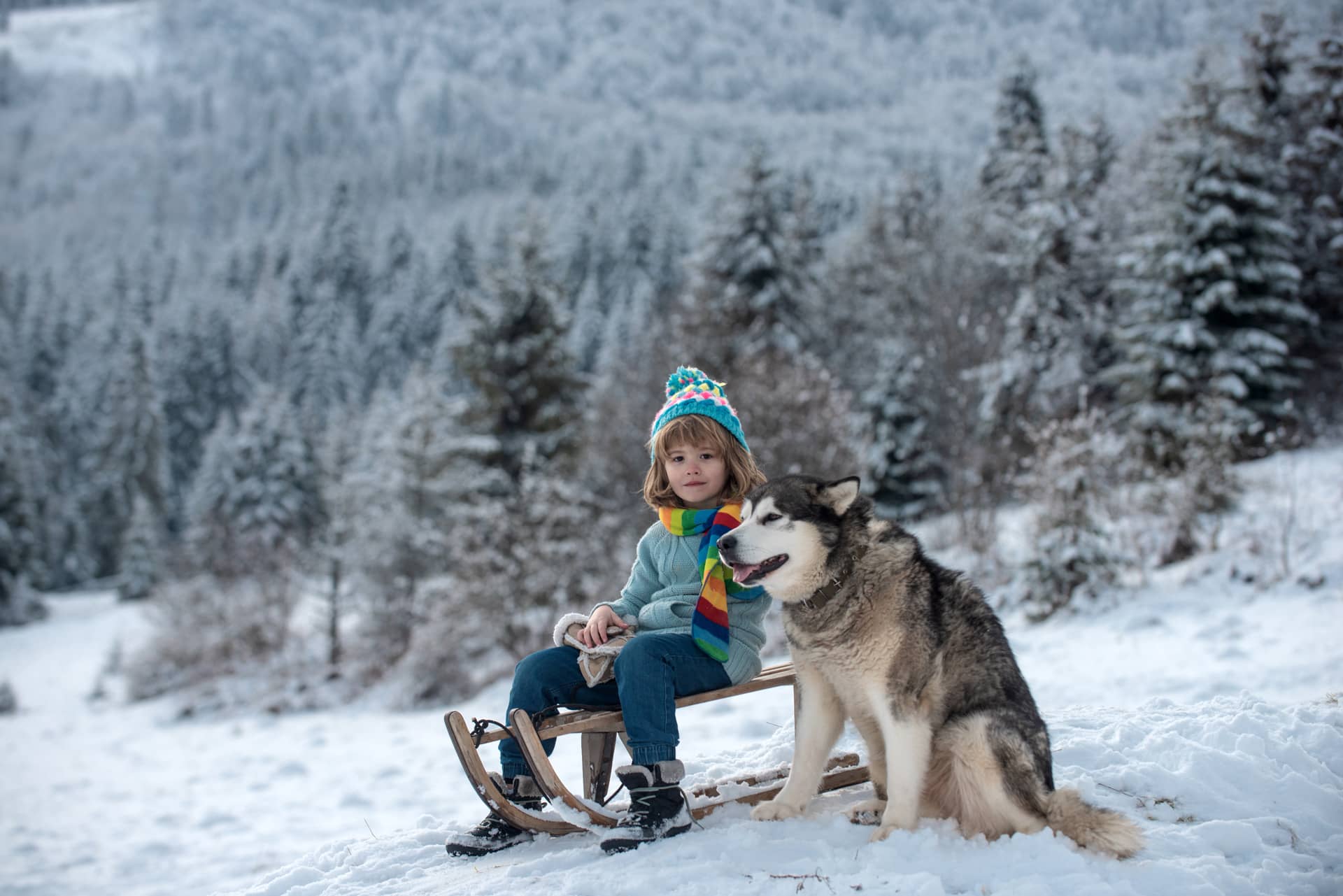 What are the best family-friendly activities in Lapland in winter?